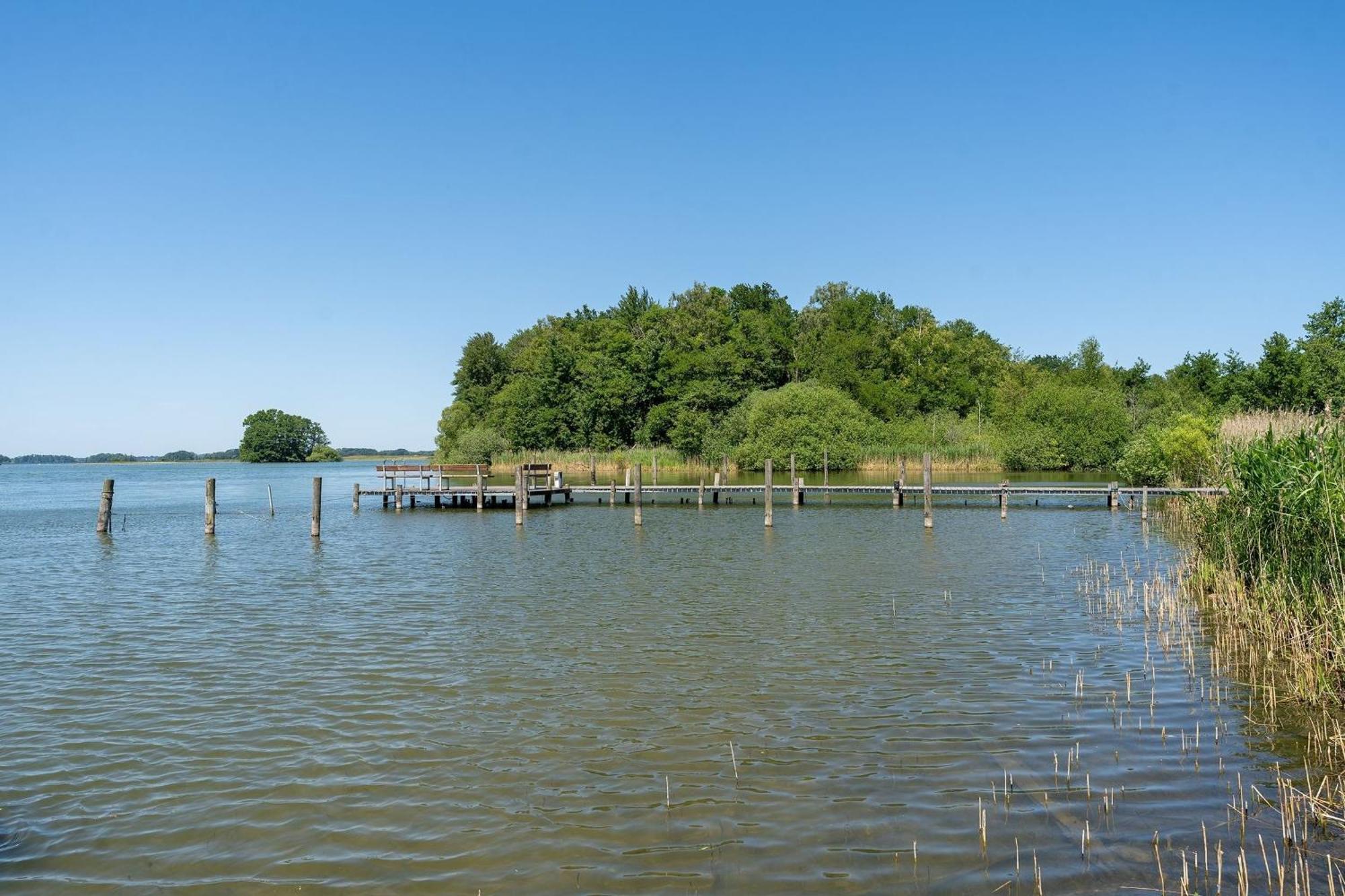 Haus Schwanensee Seeblick Bischofsee Bosau 外观 照片